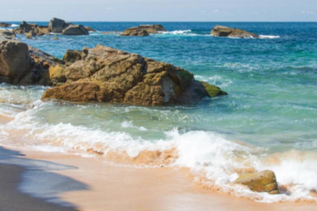 Le Petit Cote Ouest - Appt Dans Les Pins Pres De La Plage เลส์ซาบล์-โดล็อนน์ ภายนอก รูปภาพ