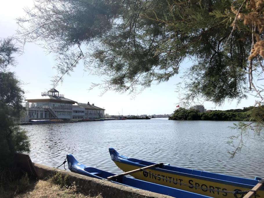 Le Petit Cote Ouest - Appt Dans Les Pins Pres De La Plage เลส์ซาบล์-โดล็อนน์ ภายนอก รูปภาพ
