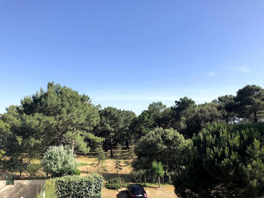 Le Petit Cote Ouest - Appt Dans Les Pins Pres De La Plage เลส์ซาบล์-โดล็อนน์ ภายนอก รูปภาพ